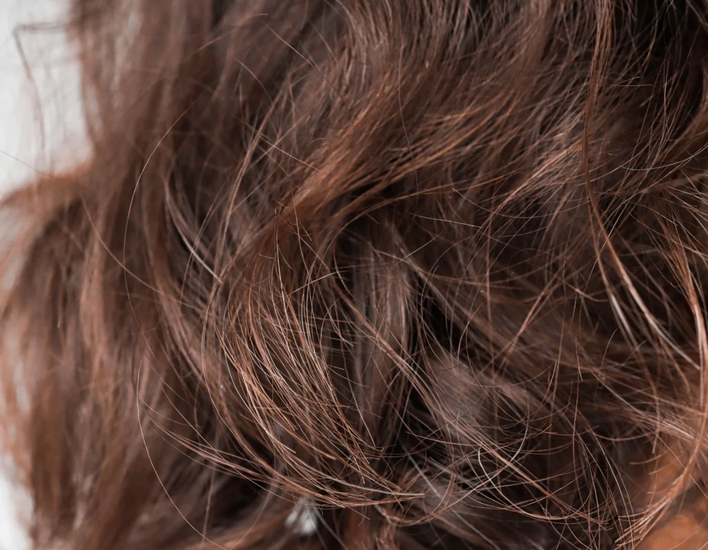 what is the best shampoo for dry hair